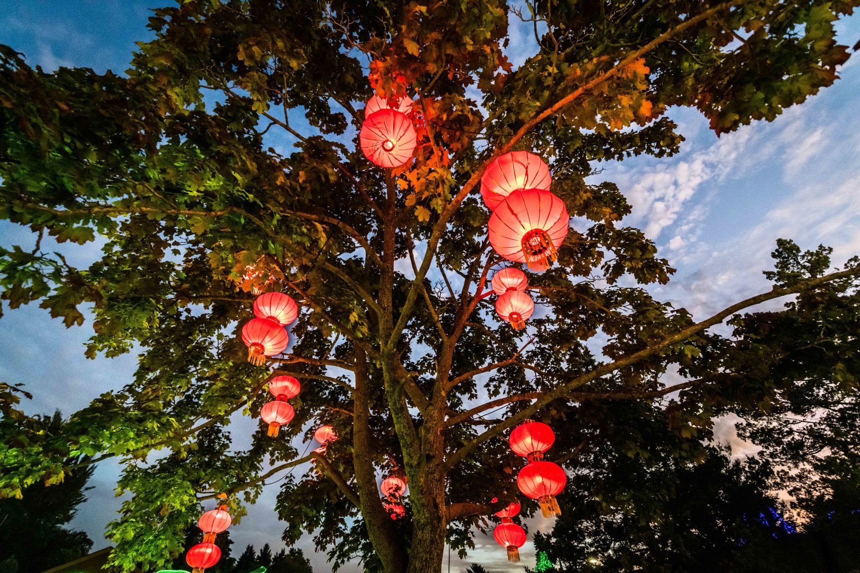 Lantern Festival